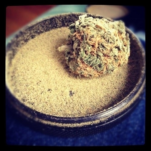Wall-B World Wild #smoke #weed