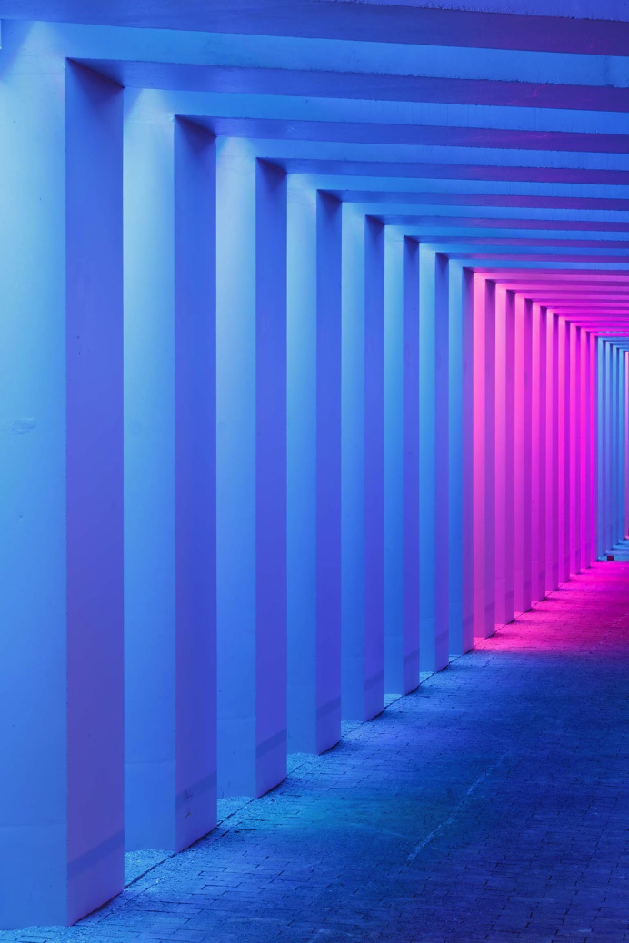 #neon #purple #pink #light #stripes