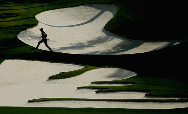 Photo of the Day #inspration #photography #art