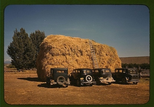 America The Beautiful - Feasting Never Stops #america #photography