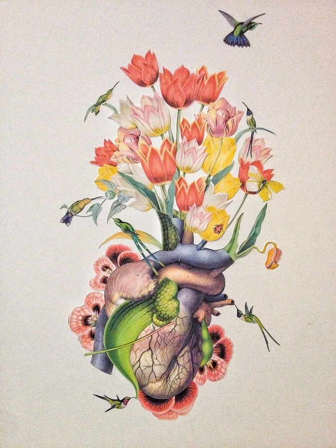 "love like nectar" cut paper anatomical collage art by bedelgeuse #anatomy #bedelgeuse #art #collage #flowers