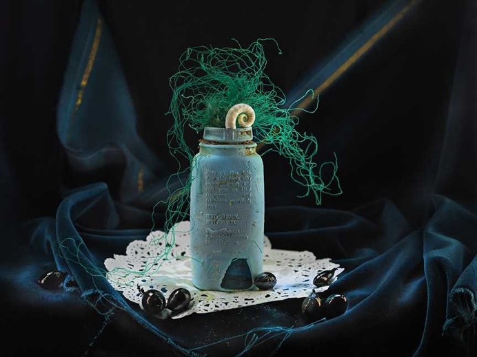 Spectacular Still Life Photography by Fiona Pardington
