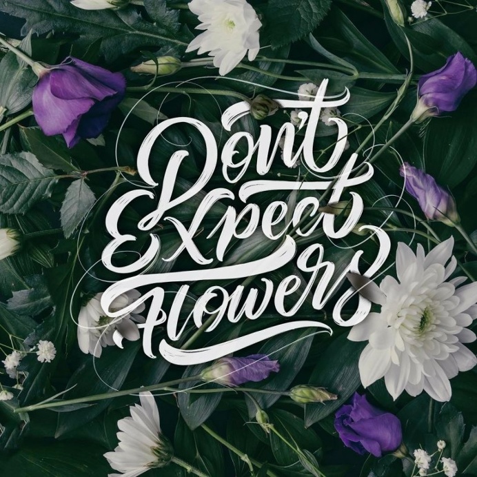 Don't expect