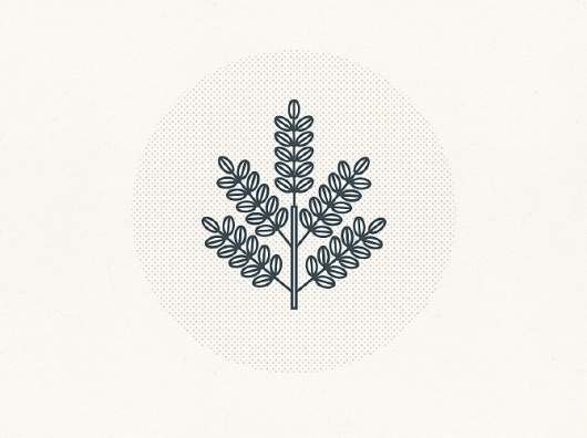 Tim Boelaars #icon #logo #branding