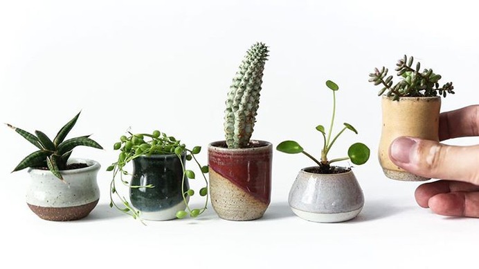 https://www.instagram.com/thesill/