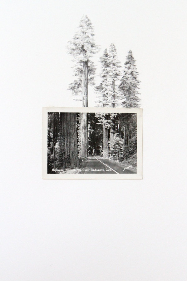 CUSTOM vintage photo with drawing #drawings