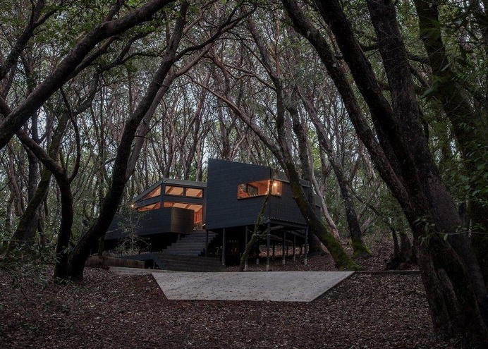 Spectacular Forest Retreat Hidden in the Forested Hills of Northern California 15