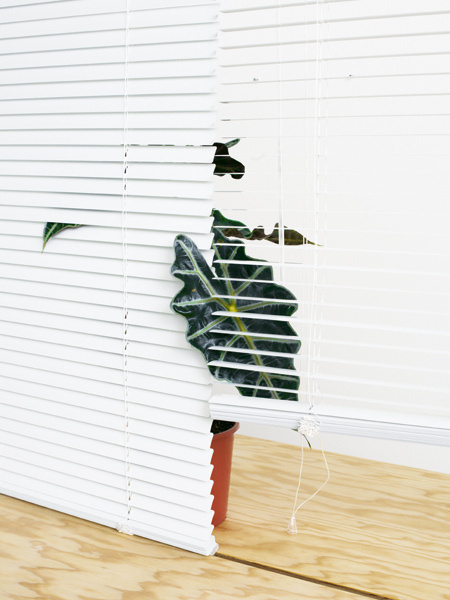 HelloMe_CriticalObjects_ObjectVI_02 #window #indoor