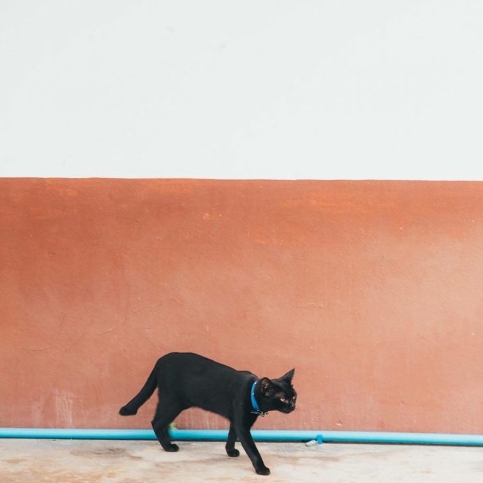 Colorful Minimalist Photography by Chinnaphong Mungsiri