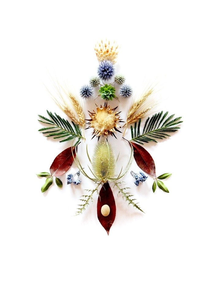 thingsorganizedneatly: SUBMISSION: commemorating place: languedoc in july by mary jo hoffman #flowers