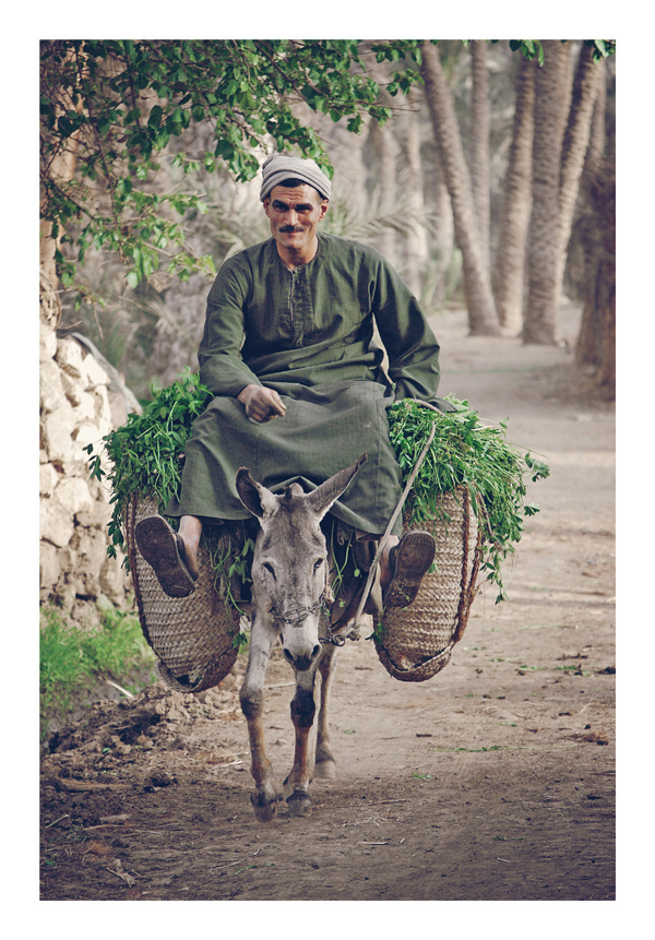 My Photography [2008-2010] #eissa #cairo #egypt #mohamed #photography