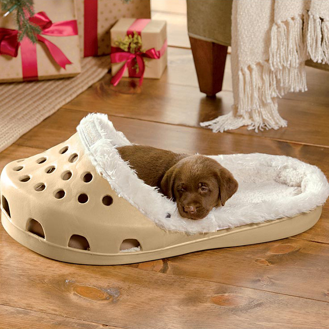 How to Create a Personalized Space for Your Pet