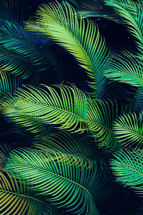 Je te veux. N'arrête pas. #photo #texture