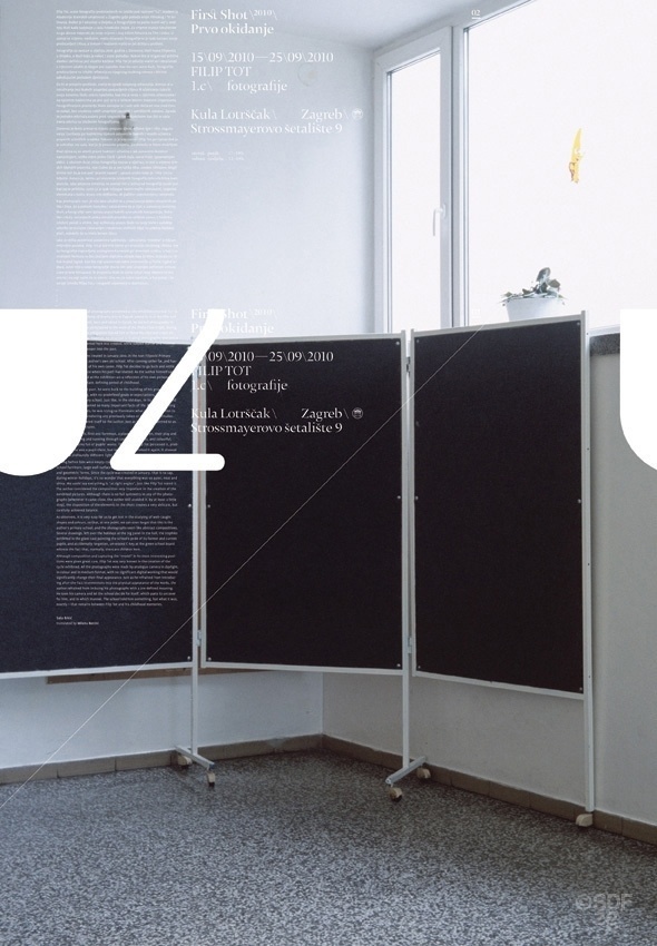 FirstShot 2010 Posters #design #graphic #typography