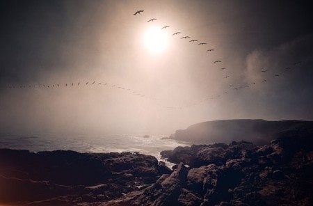 Jonas Eriksson » Every Reason to Panic #photography