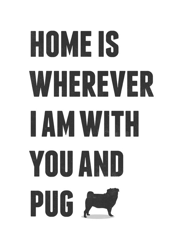 Home is Wherever I am With you and pug #print #quotes #neuegraphic #poster #typography