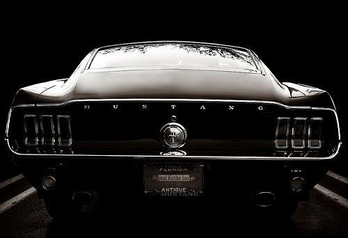 Nightwalker #mustang