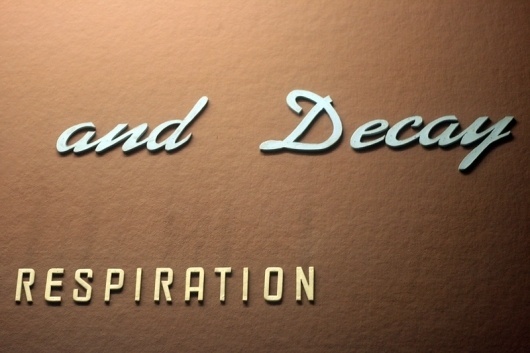 Vernacular Typography › Woodward_Vernacular Typography_Museum of Natural History_024 #sign