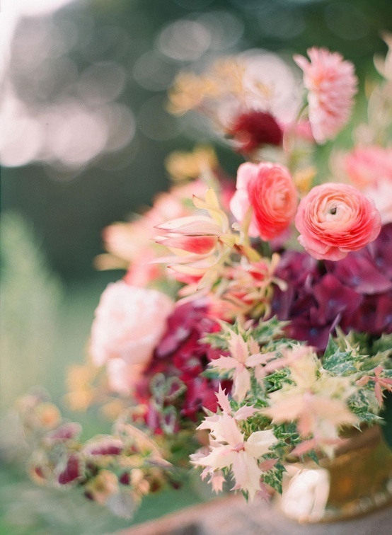 flower #nature #soft #flower #female #green