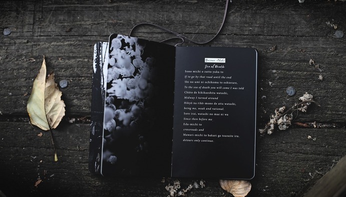 World Poetry Day Messages and Quotes