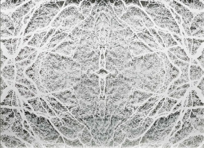 CAROLINE JANE HARRIS ARBOREAL MATTER, 2014 79 X 103 X 7 CM HAND-CUT LAYERED MATT PAPER