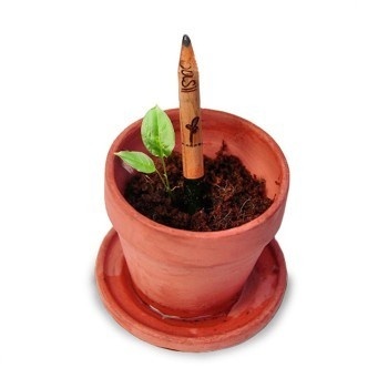 Instead of throwing away your "too-short-to-use" pencil, plant it some soil and watch it grow edible herbs for you. #herb #design #product #seed #industrial #pencil