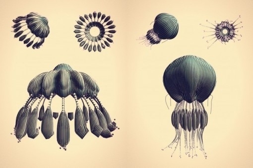 NTHN blog #creatures #code #retrofuture