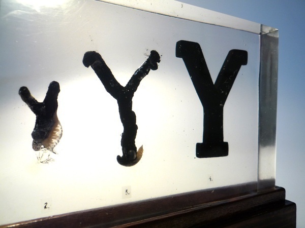 Evolution of Type, Exhibit 17 & 19 #typography