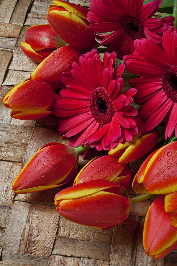 daisy painting & daisy paint by number #painting