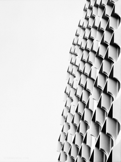 DISINTEGRATION. #pattern #white #black #photography #and #bw