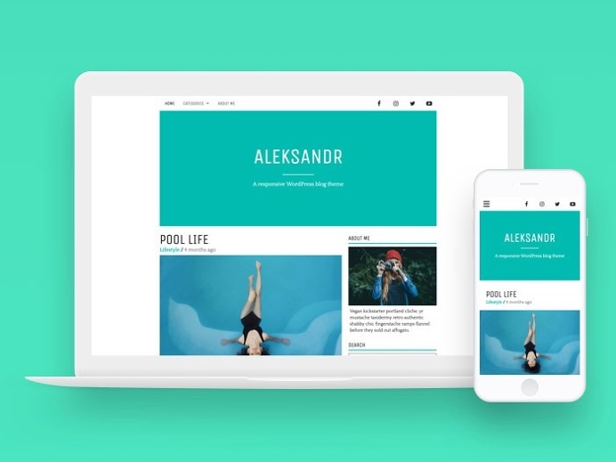 Aleksandr : Minimal Personal Wordpress Theme