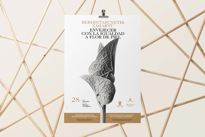 CARTEL, ENCUENTRO POR LA IGUALDAD, CUADRILLA DE AÑANA, MÓNICA RAMOS TORO, DIPUTACIÓN DE ÁLAVA, MILAGROSALURDES, PASIÓN POR COMUNICAR, BEATRIZ SANCHO ETXEBERRIA, DISEÑO GRÁFICO ÁLAVA