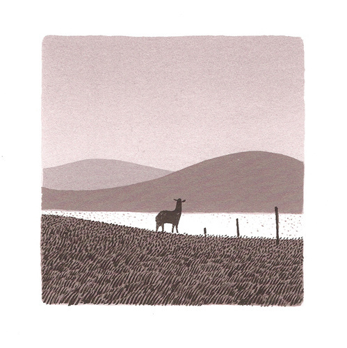 Pebble Island Screenprints : Jon McNaught #landscapes