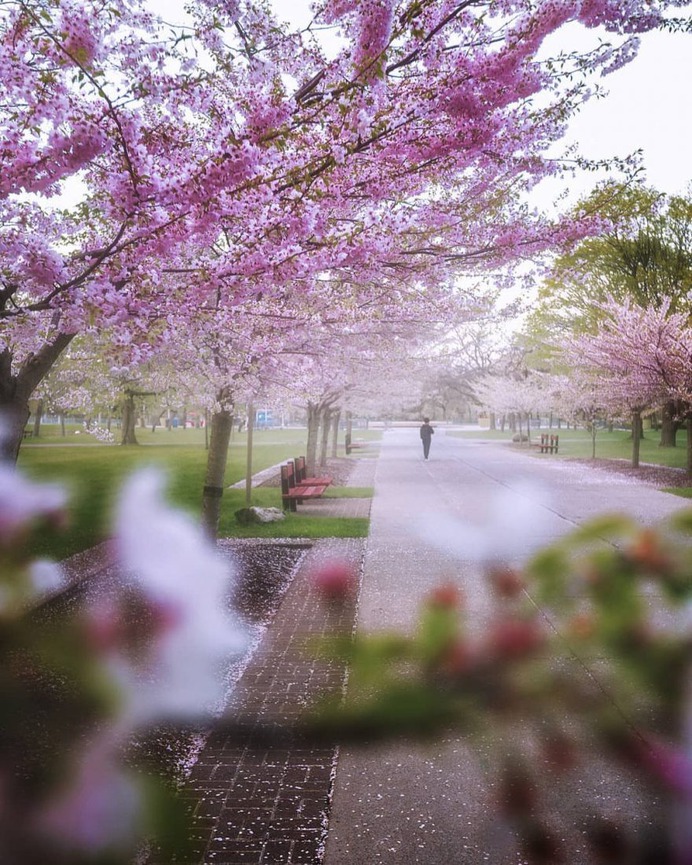 Wonderful Cityscapes and Landscapes in Toronto by Argen Elezi