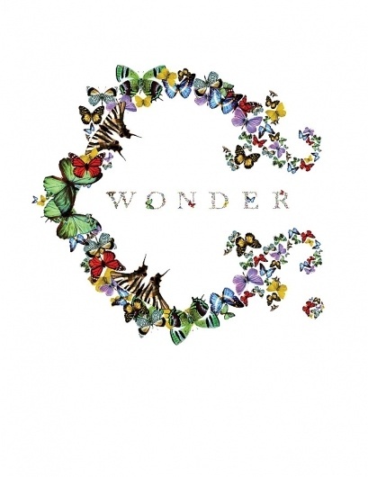 CWonder - annie-willcox.com #logo