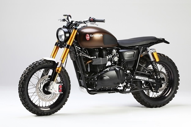 Twibfy #vehicle #black #bronze #triumph #gold #motorcycle #off-road