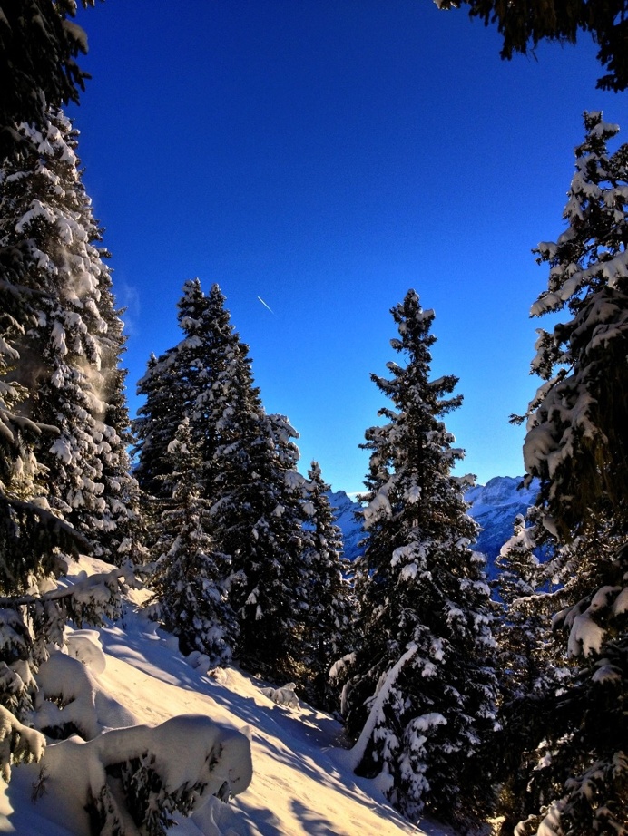 #Switzerland / Picture : Ruffieux Pablo
