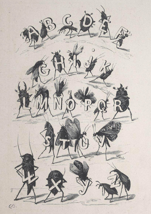 Illustrations by Fortuné Méaulle for Alphabet des Insectes by Leon Becker(France, 1883) #illustration #typography #alphabet #insects