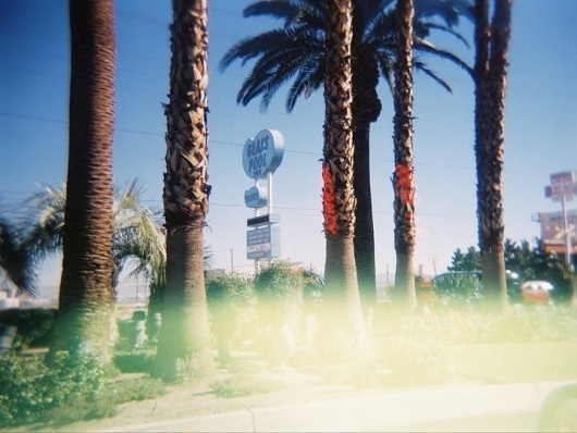 Changing Lines's Photos - photo of the day #las #lines #lomography #photo #lomo #photography #vegas #changing