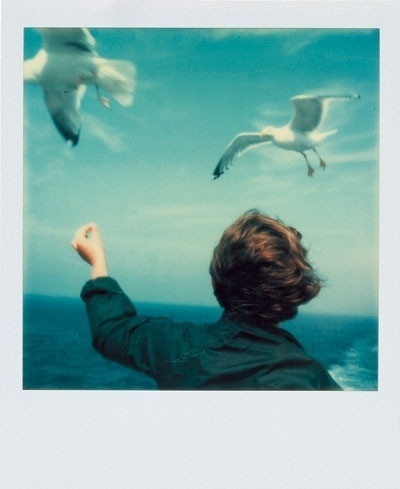Фотоконкурс «Polaroid» в Book Cafe — The Village — The Village — поток «Питер» #photography #polaroid