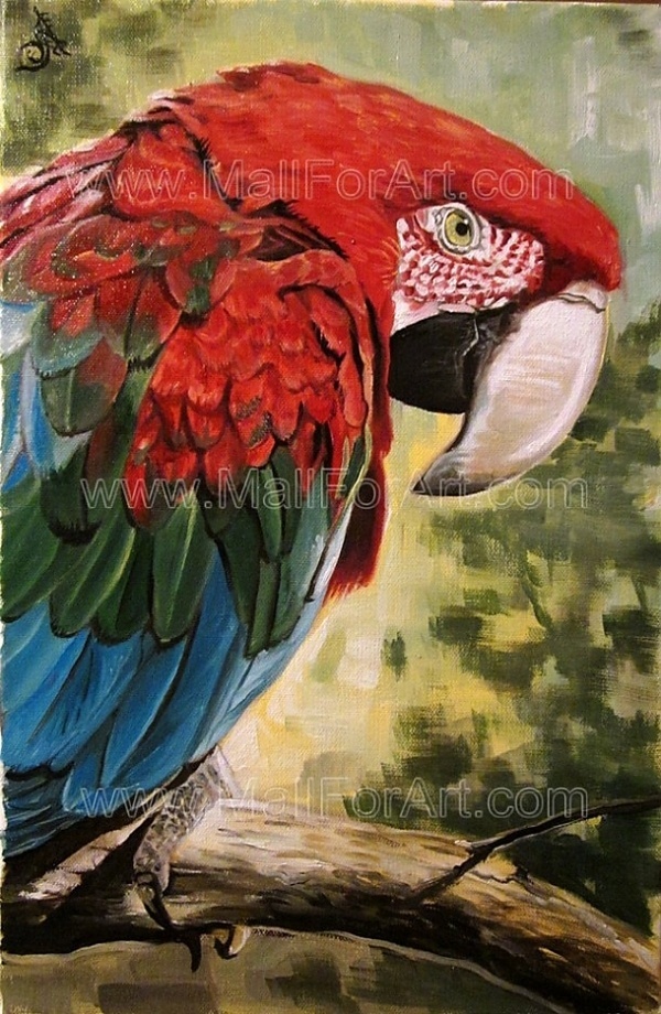 A different interpretation of realistic art - Angel Ivanov's paintings #parrot #realism #ara #portrait #painting #art #animal #oil