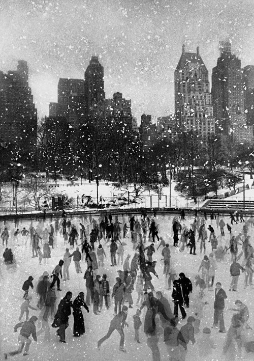 this isn't happiness™ photo caption contains external link #photo #park #skates #ice #winter