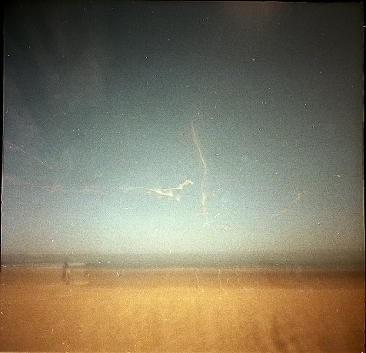 ... wings | Flickr - Fotosharing! #pinhole #baltic #camera #photography #sea #fotografie #lochkamera #obscura