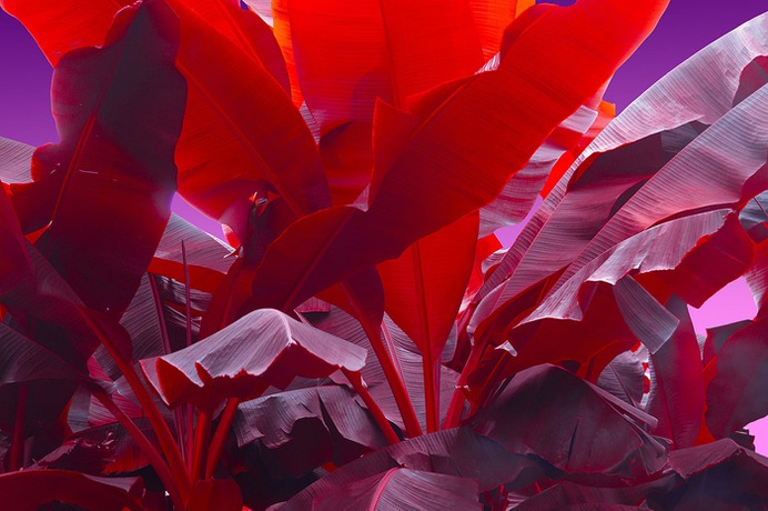 Nuclear Garden Photo-series - Mindsparkle Mag Beautiful photography set entitled Nuclear Series by Local Preacher, in Russia. #design #color #photography #graphic #design #gallery #blog #project #mindsparkle #mag #beautiful #portfolio #designer