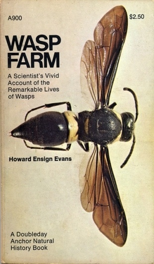 Howard Ensign Evans / WASP FARM / $2.50 #history #wasp #design #graphic #book #bug #troller #insect #fred #science