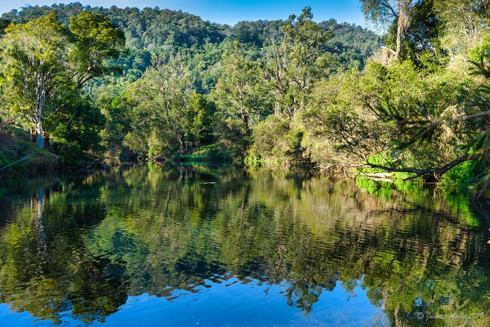 Oxley River reflection
