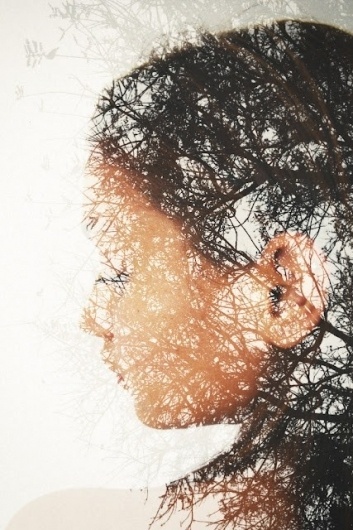 Piccsy :: Pages #photography