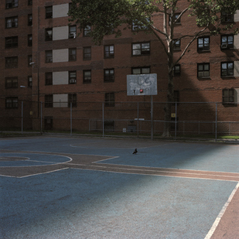 'Courts' by Ward Roberts | PICDIT #photo #photography #minimal