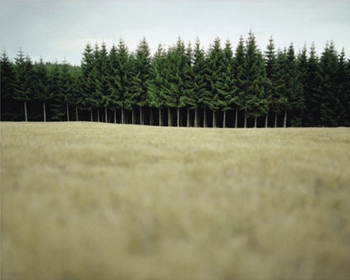 Photography by Marilia Destot #photography