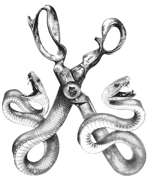 tumblr_m796siVBAW1r48bp2o1_500.jpg (500×615) #fashion #snakes #scissors